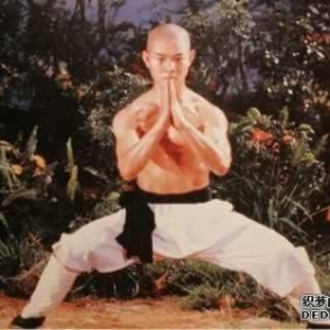 李连杰为何放弃美国籍，而花1亿巨资落户新加坡？