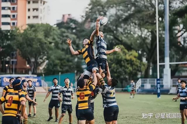 新加坡小学生VS中国小学生,有哪些大不同?