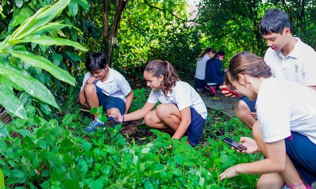 新加坡美国国际学校|给孩子真正的国际化教育