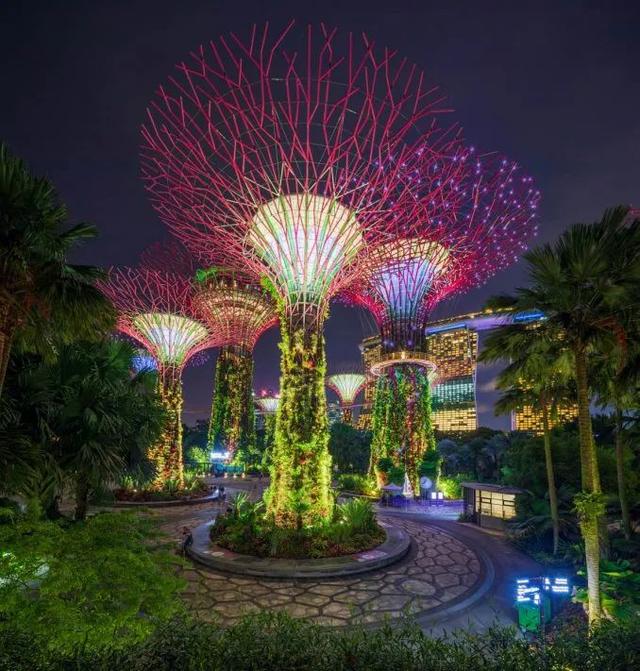 世界上最大的花园项目之一:新加坡滨海湾花园的第一个十年