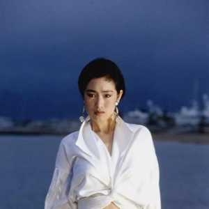 盘点国际知名度较高的十大华人女明星