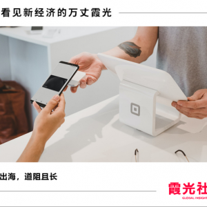 微信支付宝，暗战东南亚