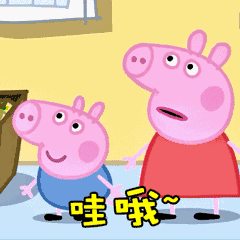 新加坡中国超级市场,终于可以用微信支付了