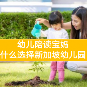 幼儿陪读宝妈，为什么选择新加坡幼儿园？
