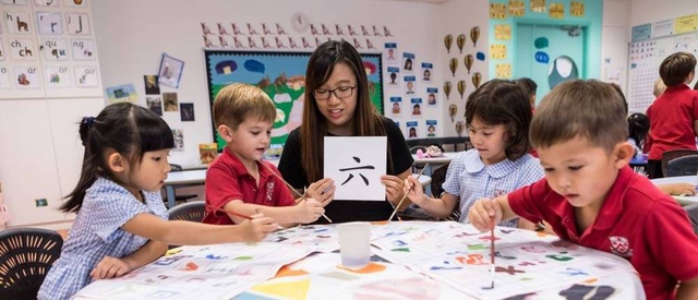 幼儿园阶段留学新加坡,学校这样选~