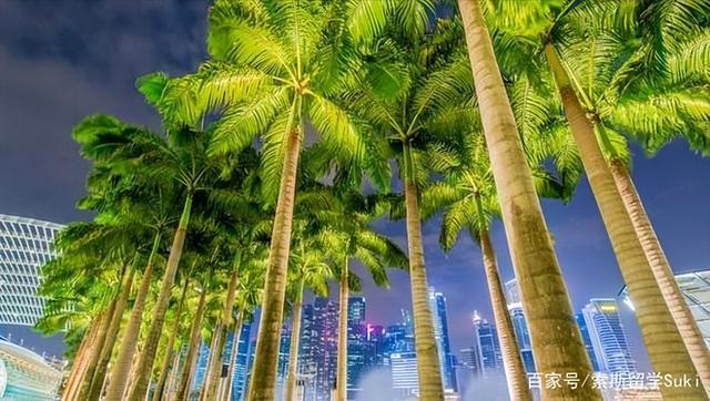用高考成绩申请新加坡国立大学,没有达到标准还能进吗?