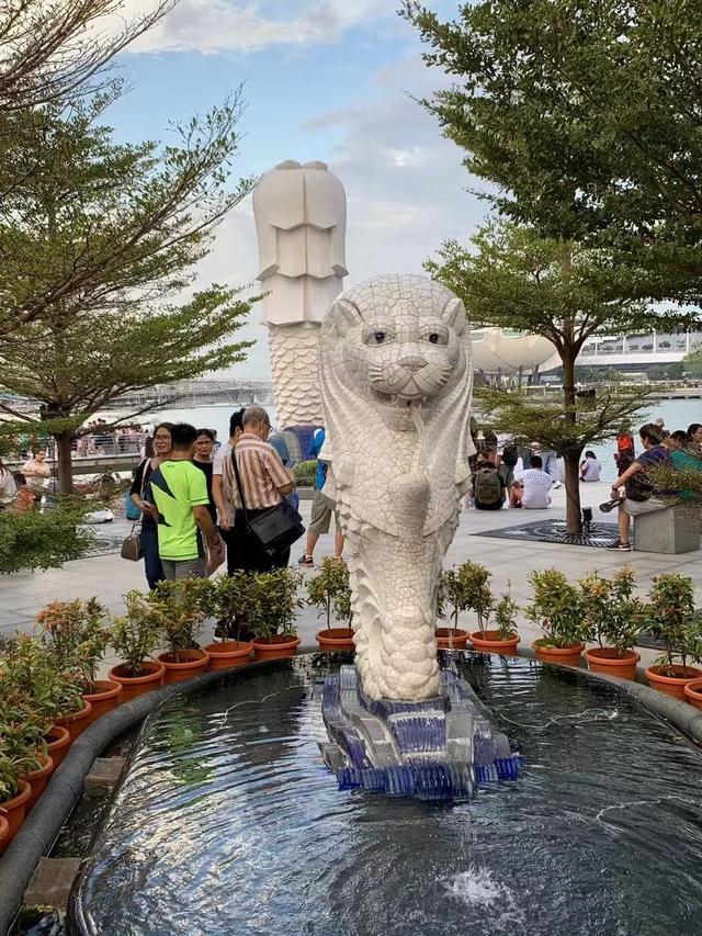 泪目!为什么要拆圣淘沙鱼尾狮?