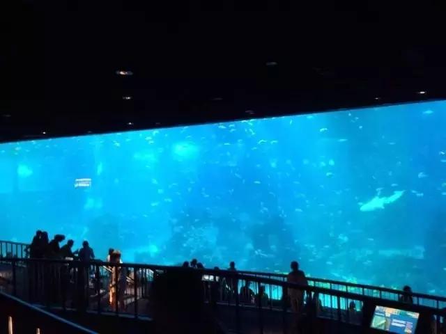 「新加坡圣淘沙」名胜世界海景套房+名胜世界必游景点!