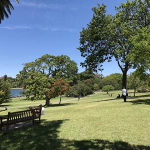 新加坡大学在国际排名
