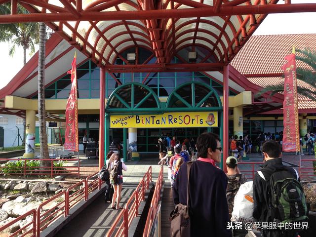 还在报名新加坡民丹岛六日游?知道真相的你,是否会眼泪掉下来