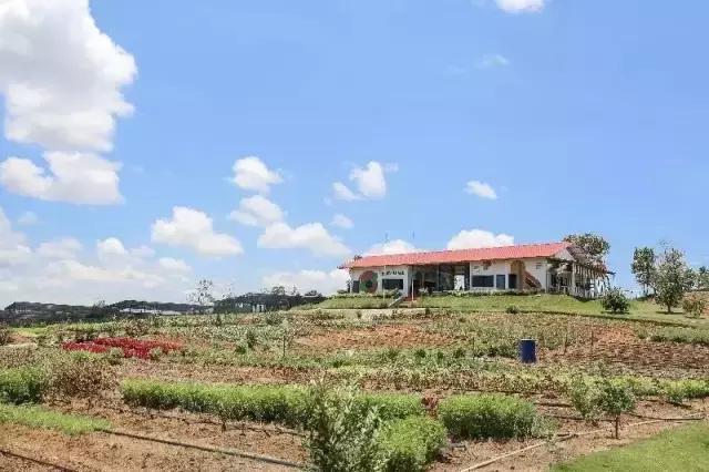 藏在新加坡后花园的民丹岛,居然有这么多玩法