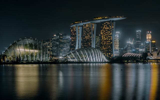 如何变更新加坡公司名称?