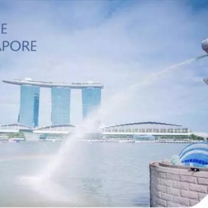 新加坡投资移民：最佳CRS应对方案，拒绝资产“裸奔”