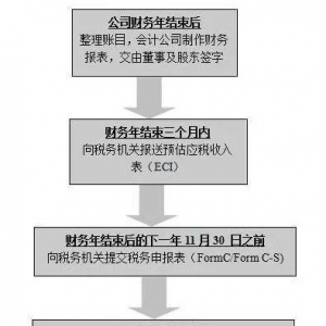 新加坡公司成立后的年审详解及如何进行财务报告