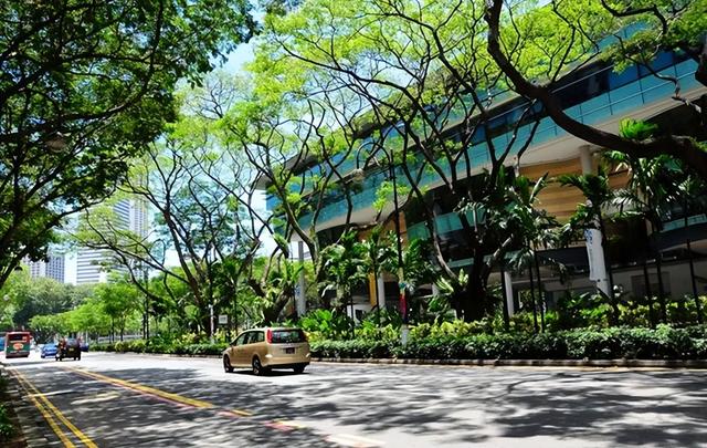 “新加坡到底咋想的?塑料袋不收费,垃圾不分类”
