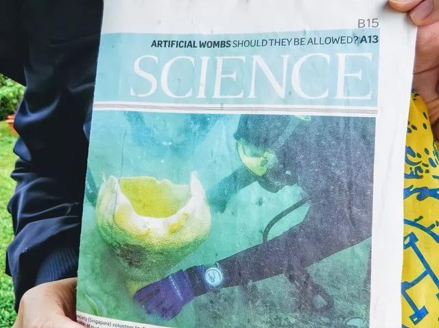 “新加坡到底咋想的?塑料袋不收费,垃圾不分类”