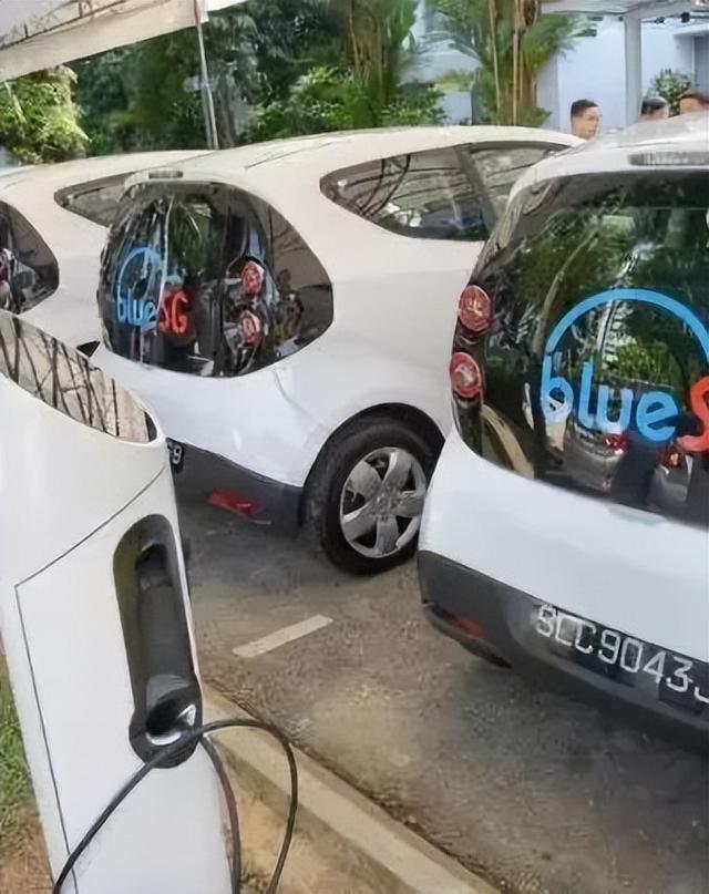 “新加坡到底咋想的?塑料袋不收费,垃圾不分类”