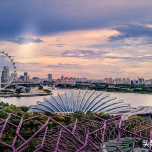 新加坡五大“引力”，吸引全球科技企业