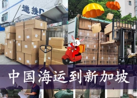 中国商品运输新加坡，海运整柜，拼箱，小包怎么选择？