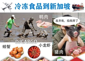 【海运专线】从中国佛山发冷冻食品到新加坡超详细教学