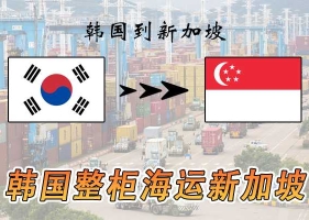 新加坡本地清关公司,韩国海运新加坡清关公司