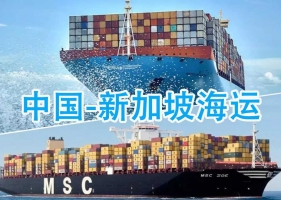 中国-新加坡海运，大件散货小包双清包送货到门服务-递接...
