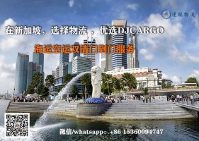 中国广州海运空运到新加坡亚马逊FBA国际物流服务