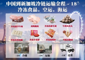中国正规出口冷冻食品海运拼箱到新加坡门到门运输
