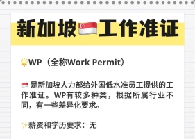新加坡工作签证图鉴—EP、SP、WP的区别